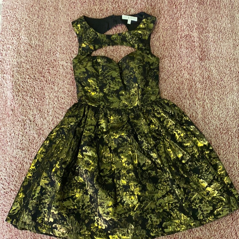 Nasty Gal Holiday Dress!